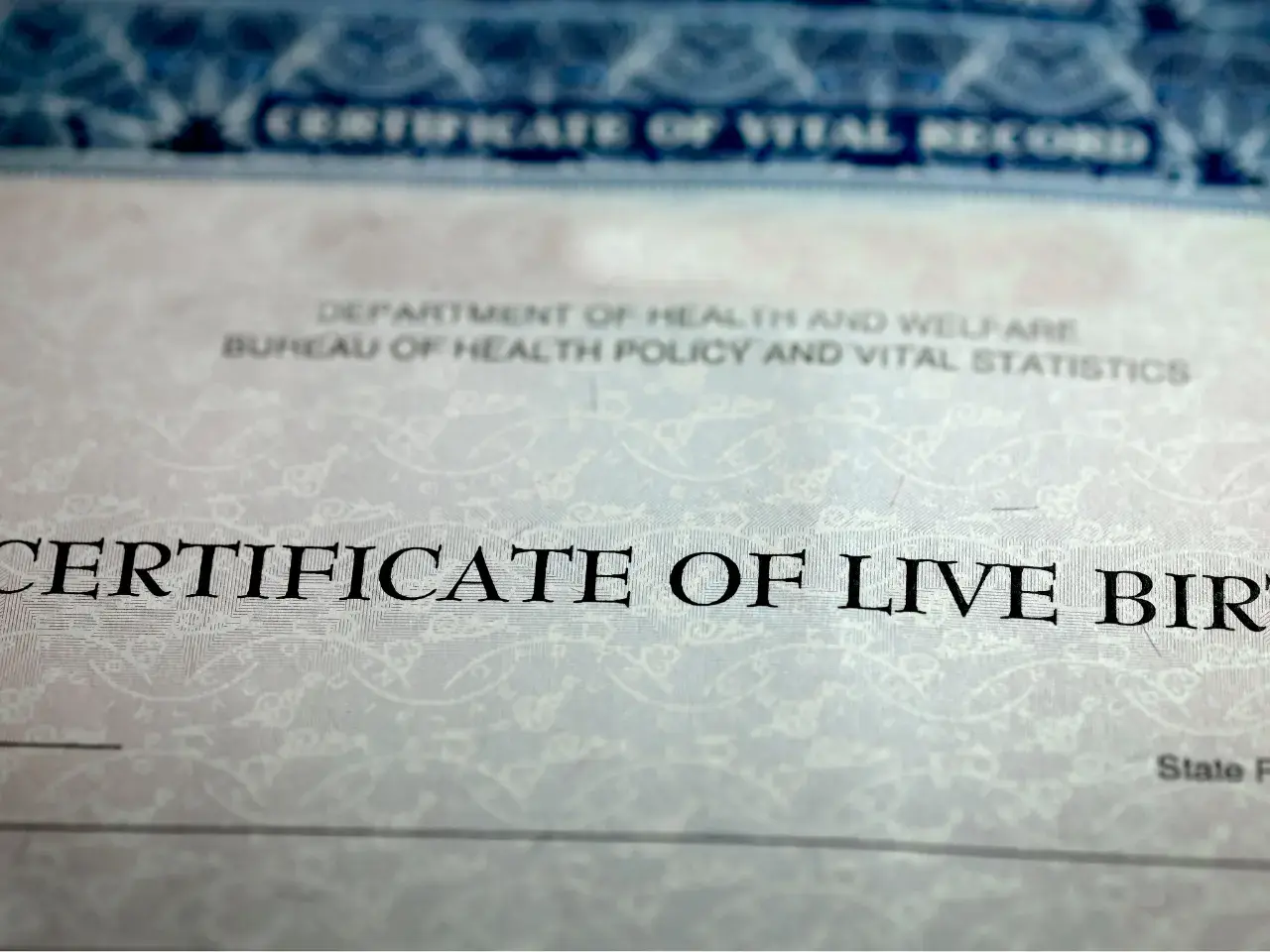 Close-up of a birth certificate used for attestation.