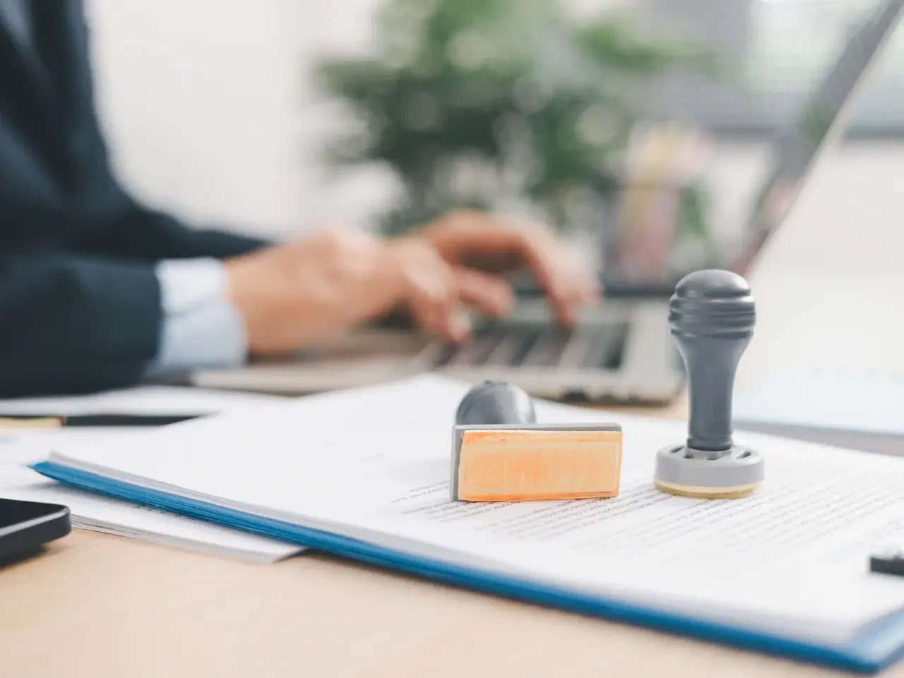 Professional consultant assisting with the UAE visa and document preparation.