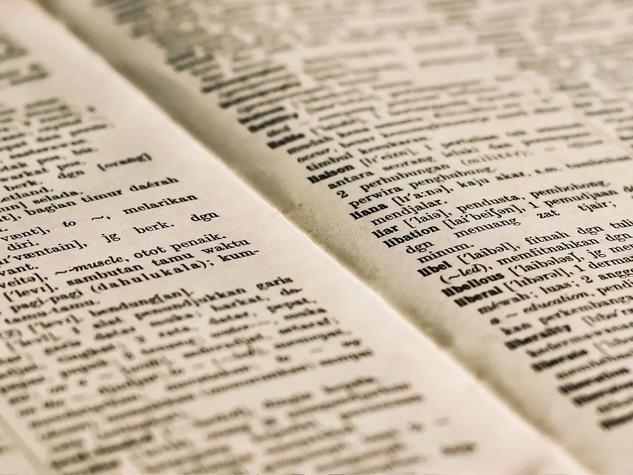 Close-up view of an open bilingual dictionary with entries in black text, showing English words and their translations or definitions in another language. The text is neatly arranged in columns, with some phonetic symbols and italicized formatting visible.