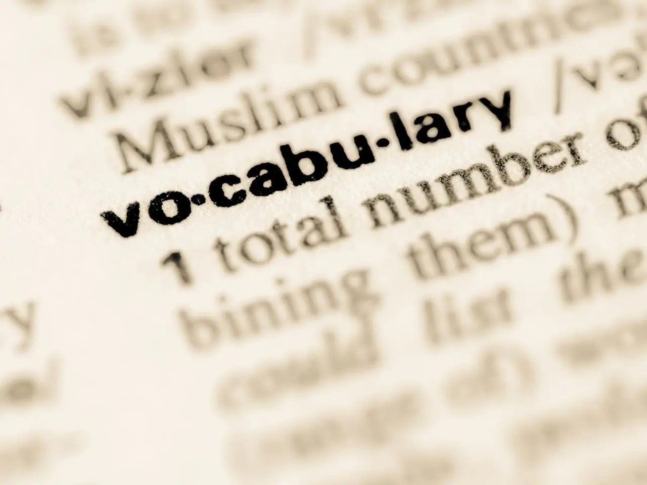 Close-up of the word “vocabulary” highlighted in bold within a dictionary entry. The word is syllabically divided with dots, and the surrounding text is slightly blurred, emphasizing the term in focus.