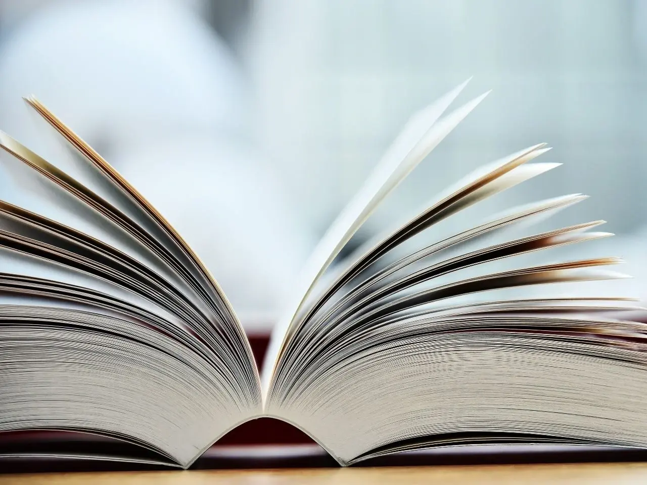 Close-up view of an open book with its pages fanned out, captured from a low angle. The soft focus background creates a serene atmosphere, highlighting the delicate curvature and texture of the paper.