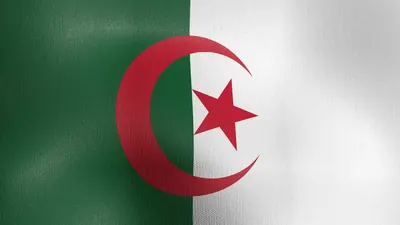 Algeria Embassy in Canada: Complete Guide