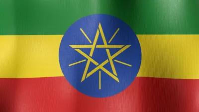 Ethiopian Embassy in Ottawa (Embassy of Ethiopia in Canada)