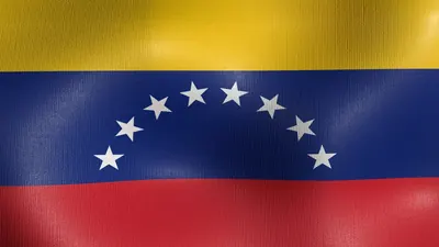 Venezuela Embassy and Consulates in Canada: Complete Guide