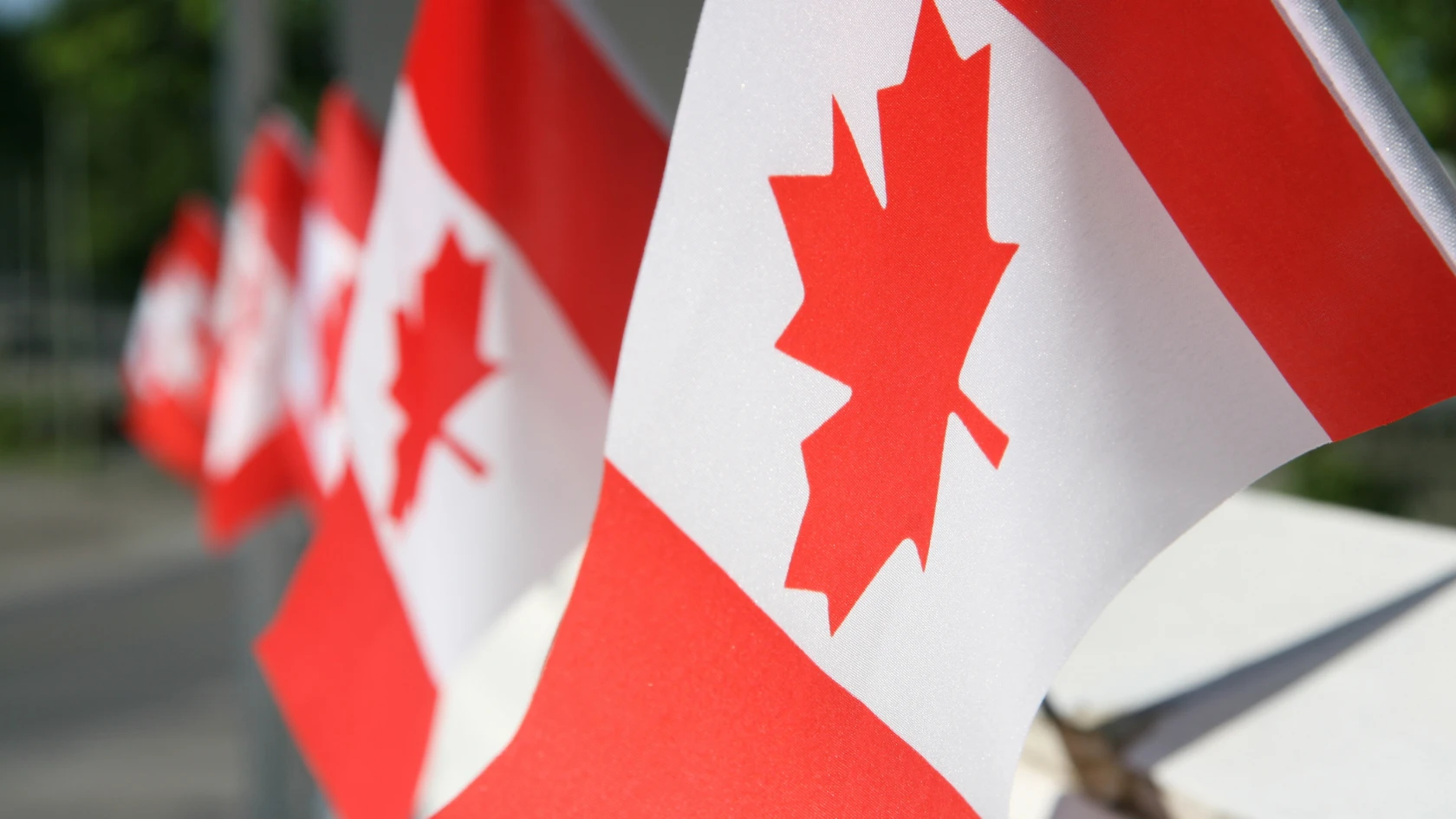 Canadian flags representing IRCC immigration and document requirements