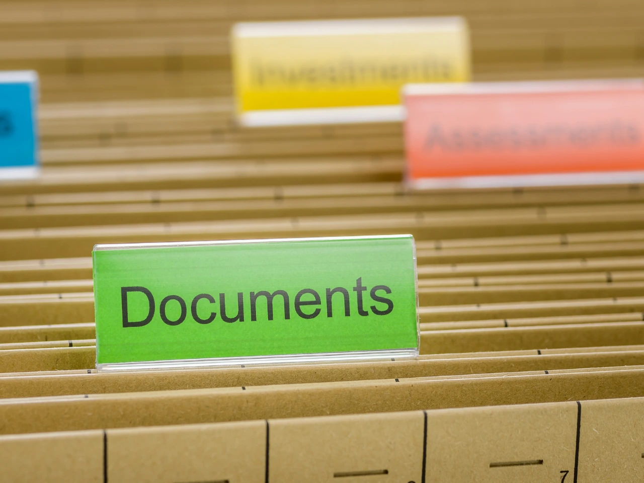 Organized educational documents for WES translation requirements.