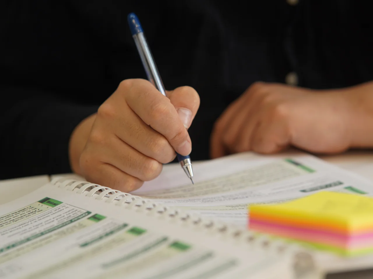 Professional translator reviewing official documents.